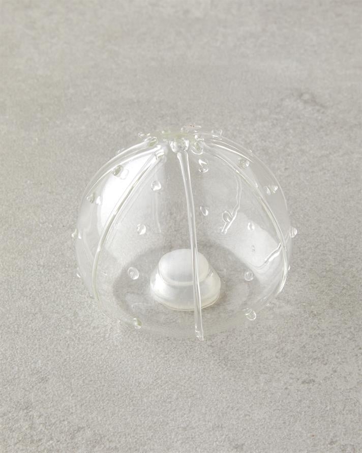 Clementine Borosilikat-Akasya 2li Tuzluk - Biberlik 5,5x5 cm Şeffaf