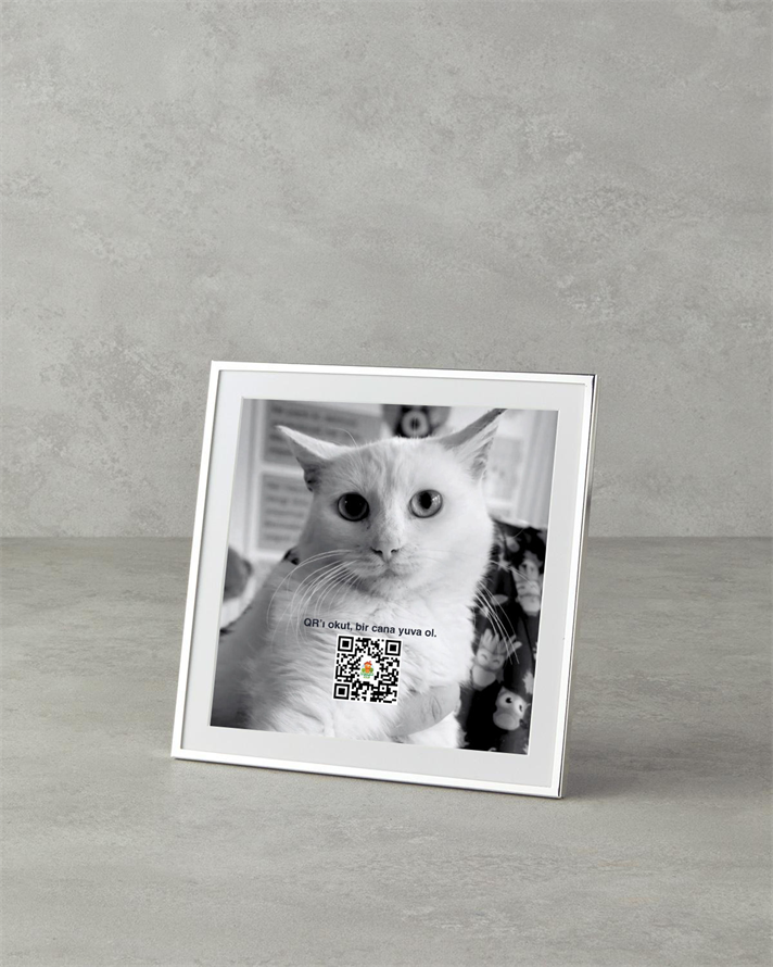 Dorothy Metal Çerçeve Silver