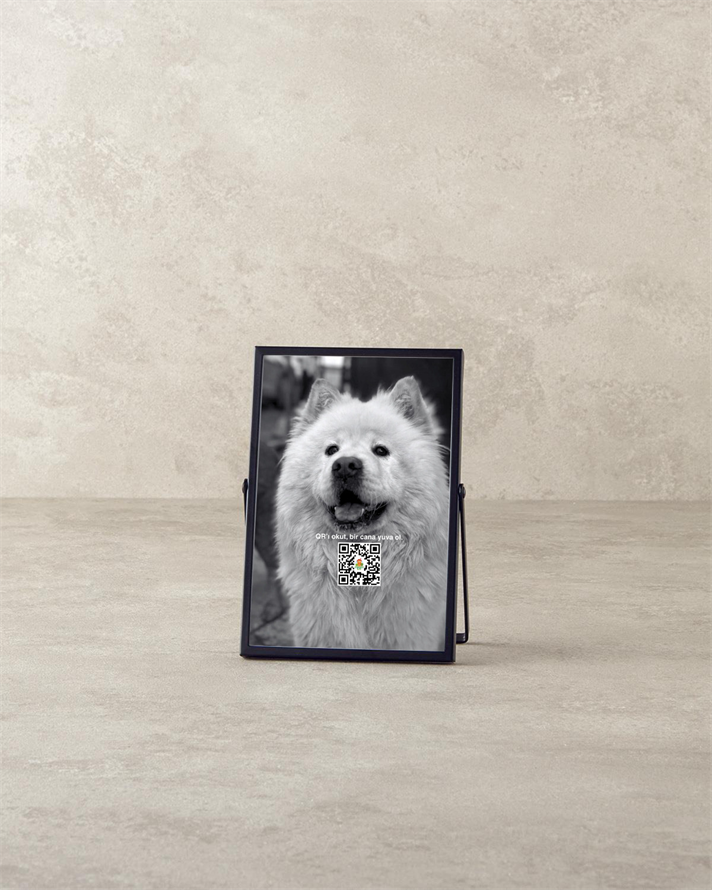 Edela Metal Çerçeve Siyah