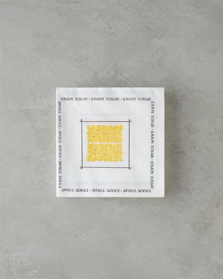 Enjoy Today 20li Kağıt Peçete 33x33 cm Renkli