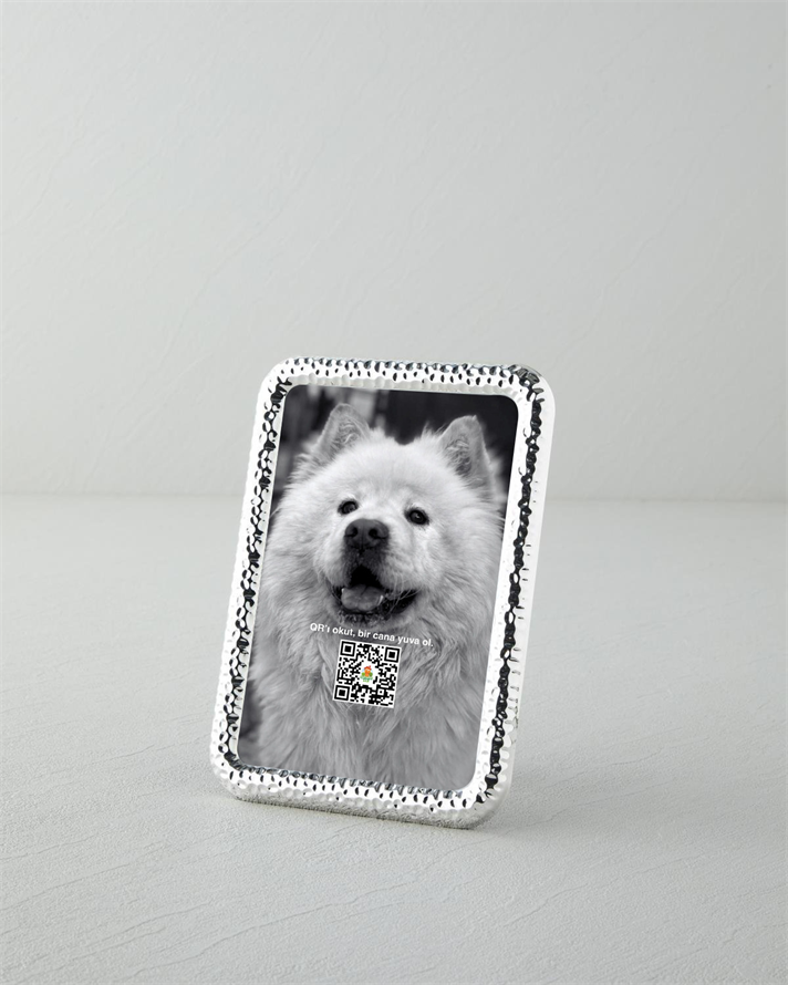 Esta Çerçeve Silver