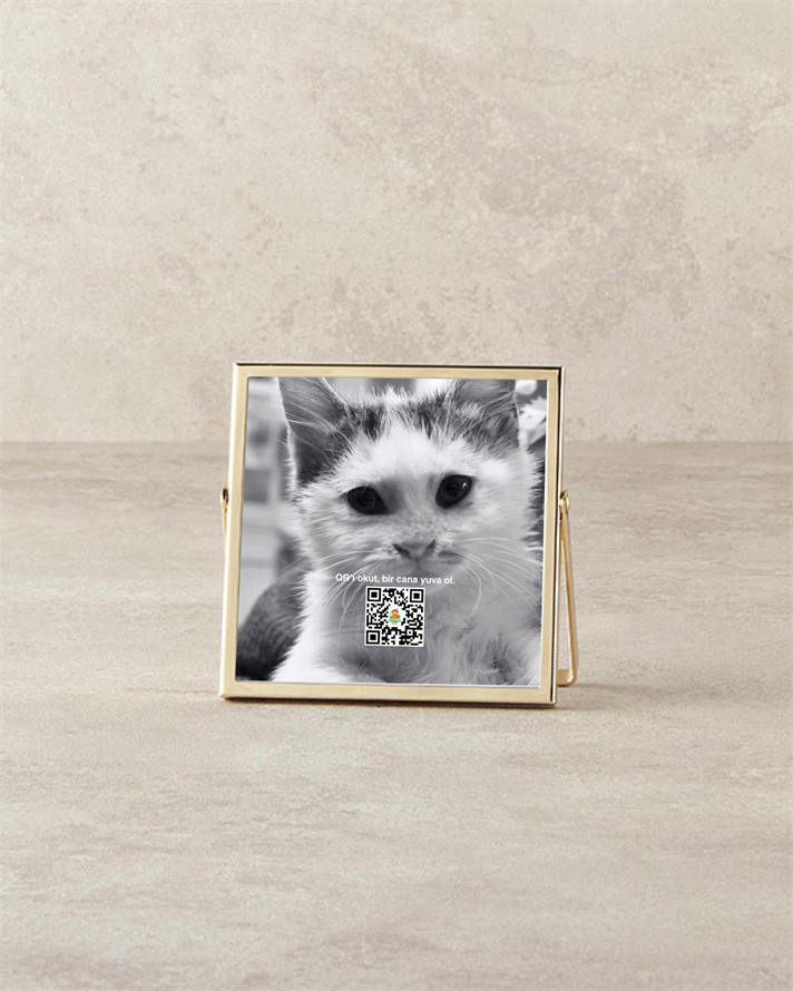 Felicita Çerçeve Gold