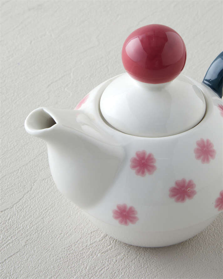 Florentis New Bone China Demlik Seti 400 – 290 ml Pembe - Yeşil