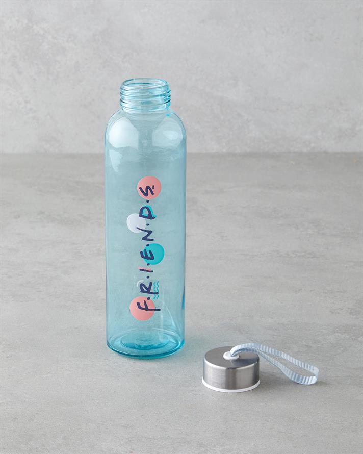 Friends Cam Lisanslı Şişe 500 ml Renkli
