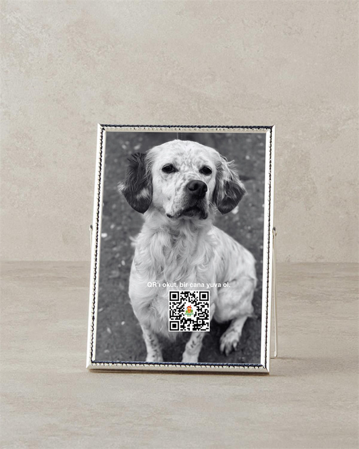 Gloria Metal Çerçeve Silver