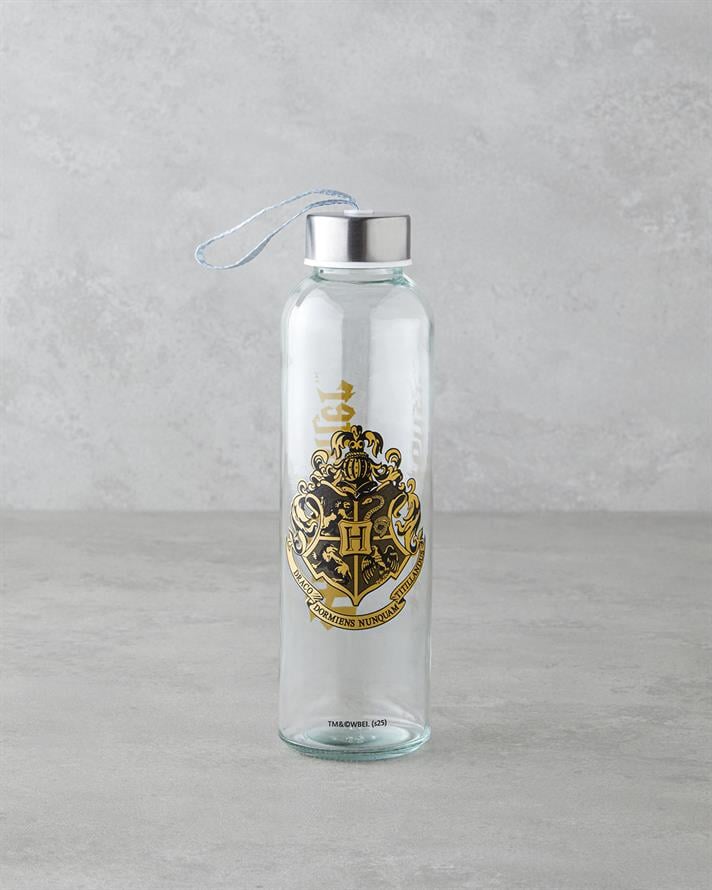 Harry Potter Cam Lisanslı Şişe 500 ml Renkli