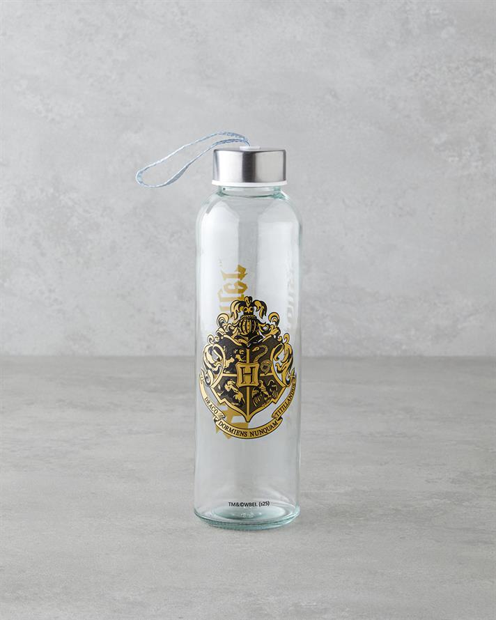 Harry Potter Cam Lisanslı Şişe 500 ml Renkli