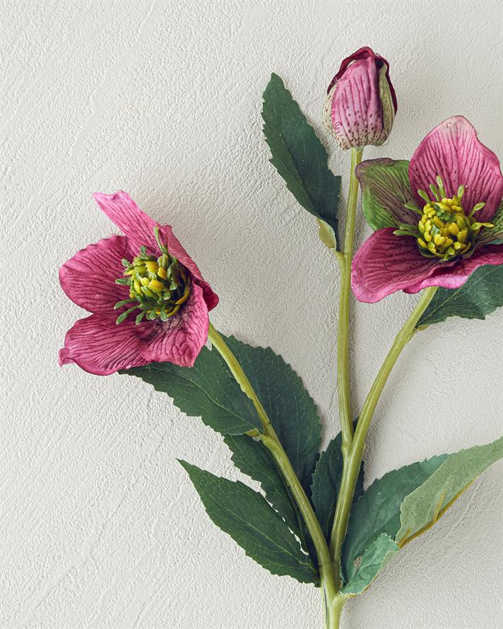 Helleborus Tek Dal Yapay Çiçek Mürdüm