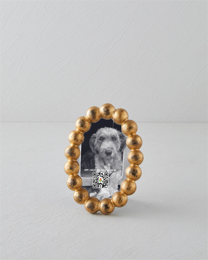 Judie Çerçeve Gold