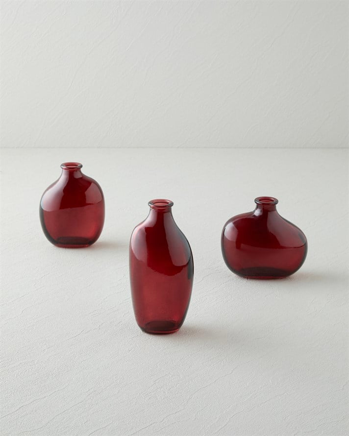 Lavina Cam 3lü Vazo Bordo