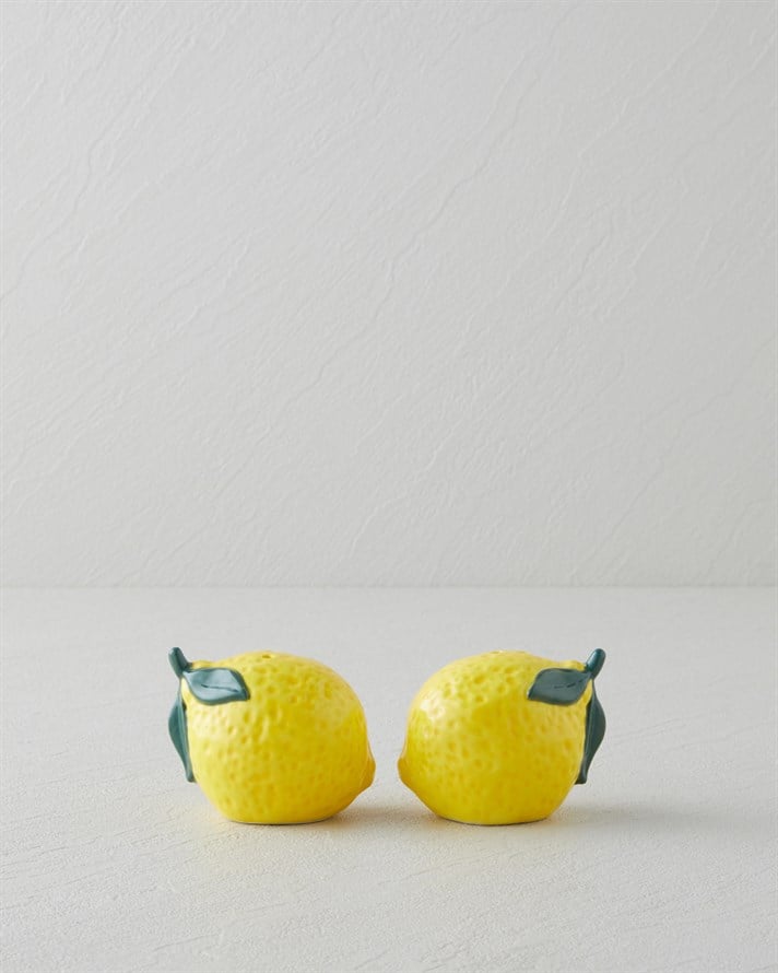 Lemon Stoneware 2li Tuzluk - Biberlik 6,5x5x5,5 cm Sarı