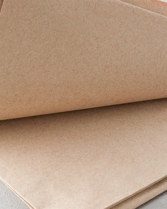 Liore Kağıt 20li Kağıt Peçete 33x33 cm Bej