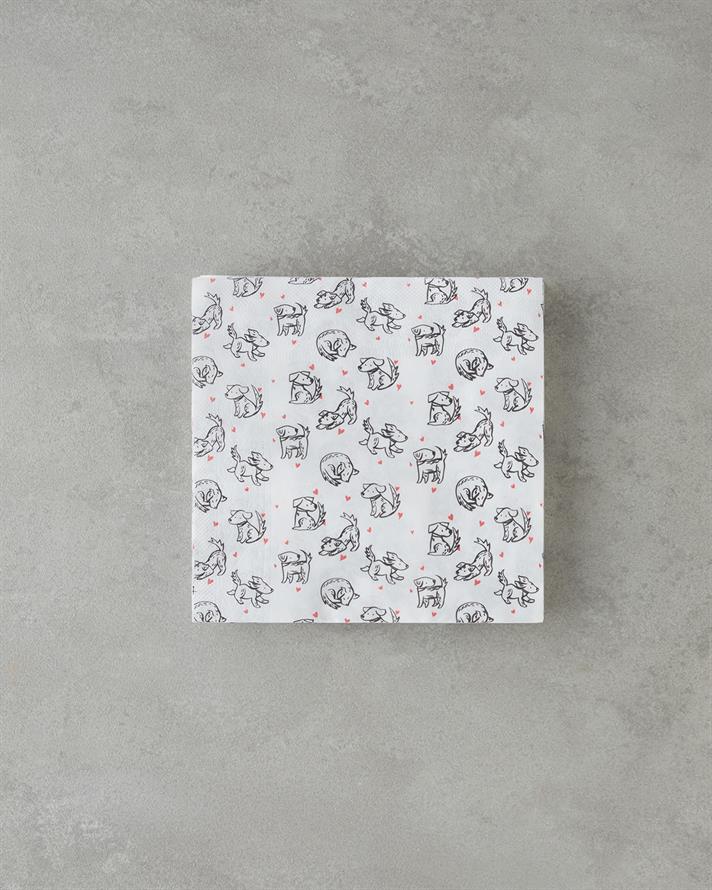 Pawzy 20li Kağıt Peçete 33x33 cm Renkli