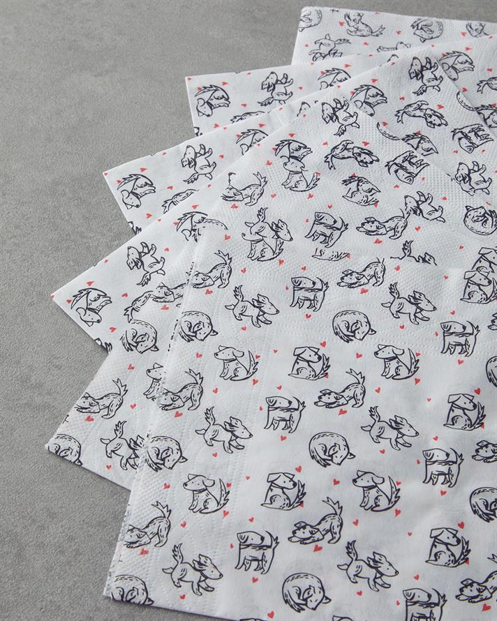 Pawzy 20li Kağıt Peçete 33x33 cm Renkli