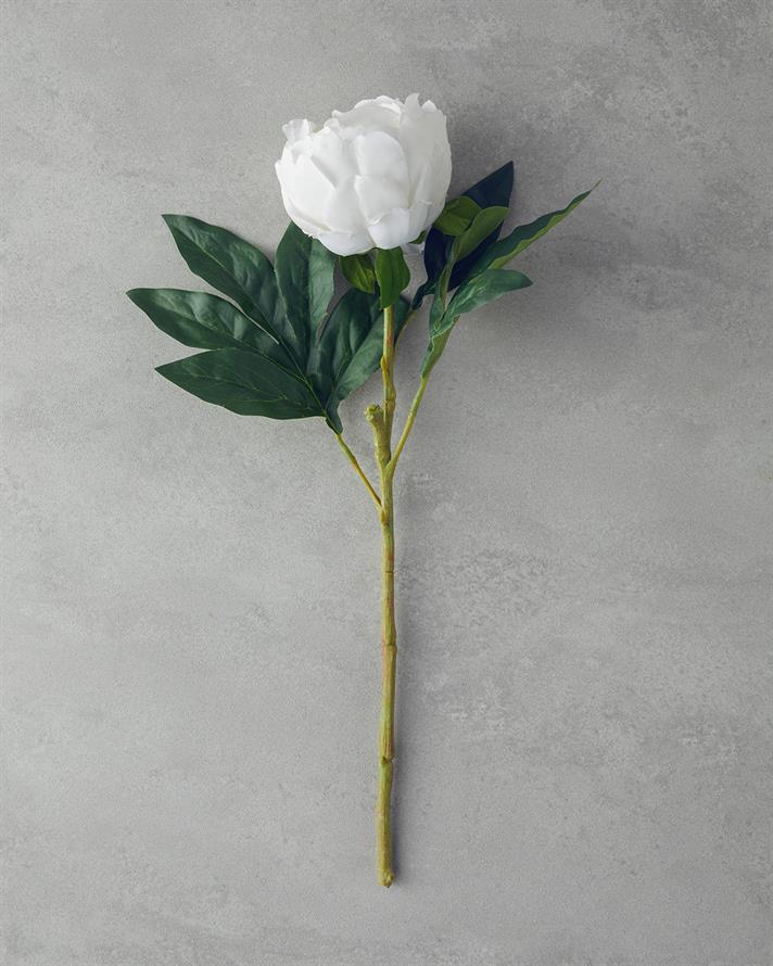 Peony Tek Dal Yapay Çiçek Beyaz