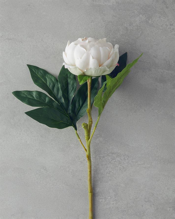 Peony Tek Dal Yapay Çiçek Şampanya