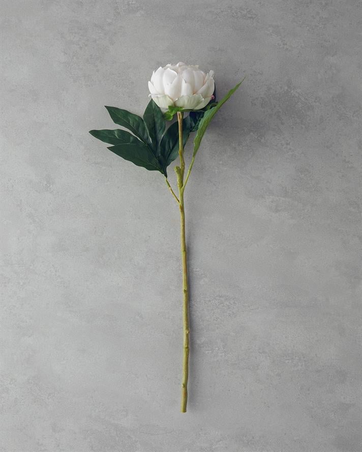 Peony Tek Dal Yapay Çiçek Şampanya