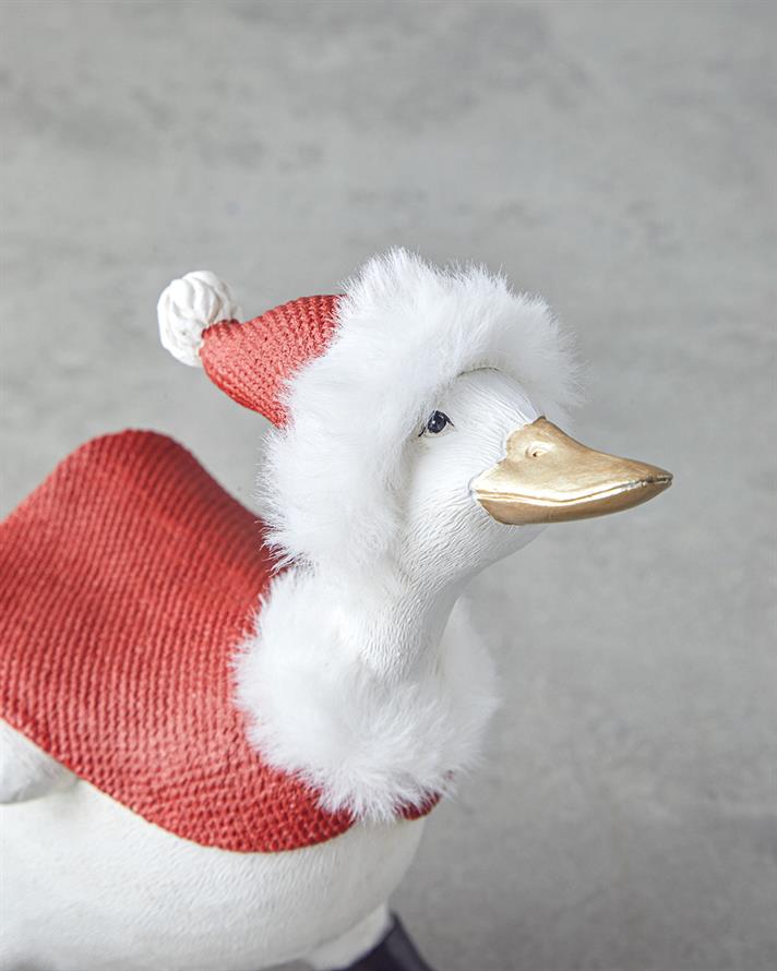 Piante Biblo 13x15x20,5 cm Kırmızı