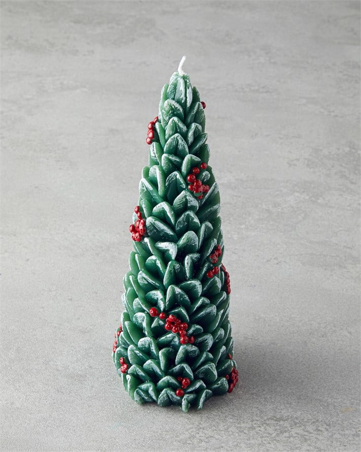 Pine Tree Mum 20 cm Yeşil