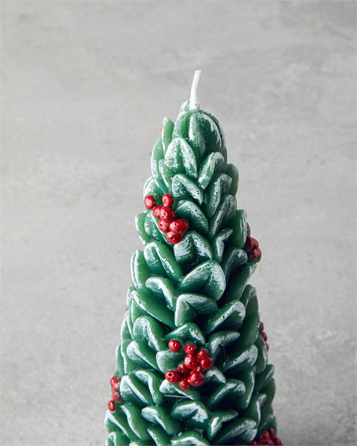 Pine Tree Mum 20 cm Yeşil