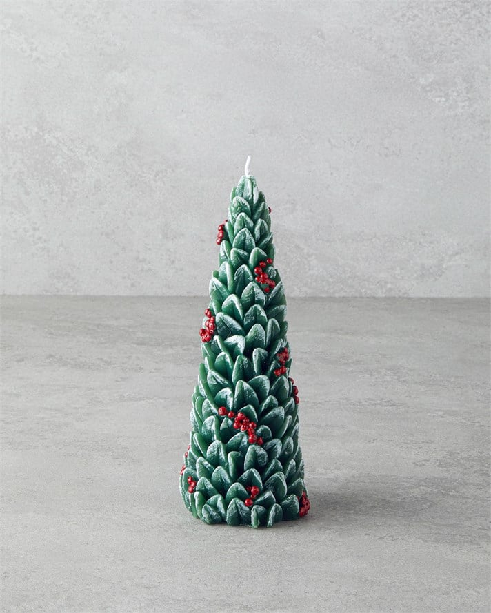 Pine Tree Mum 20 cm Yeşil