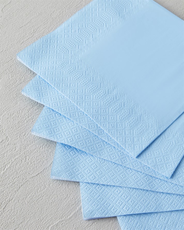 Plain Elegance 20li Kağıt Peçete 33x33 cm Mavi