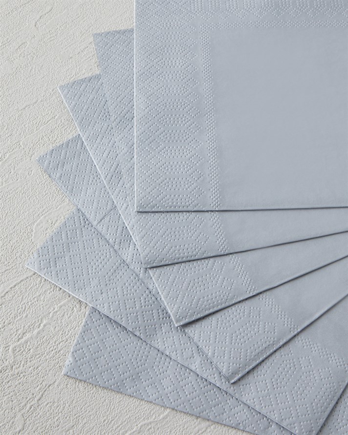 Plain Elegance 20li Kağıt Peçete 33x33 cm Silver