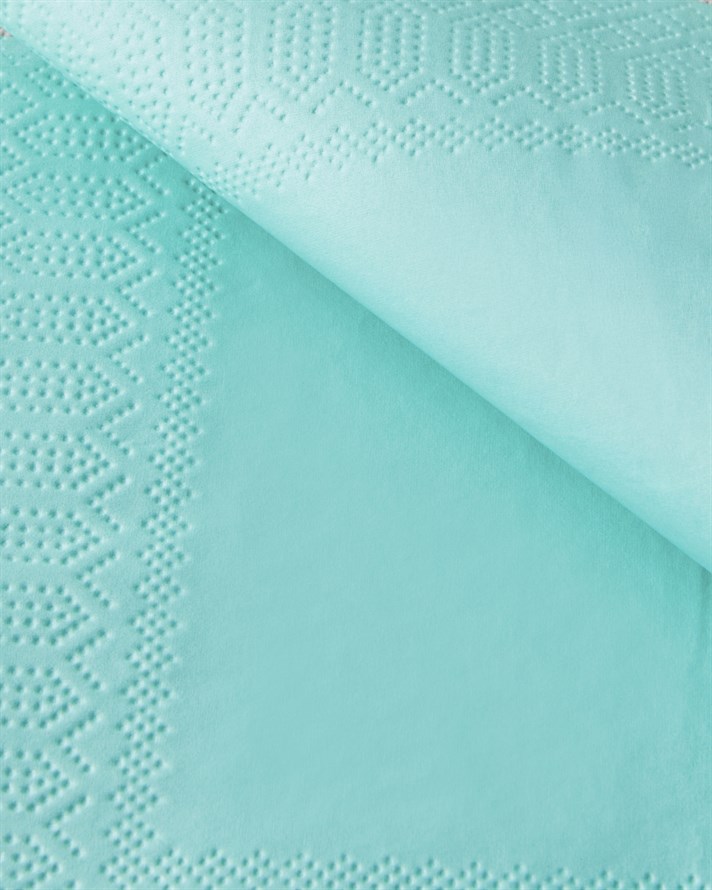 Plain Elegance 20li Kağıt Peçete 33x33 cm Yeşil