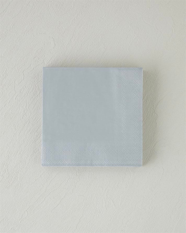 Plain Elegance 20li Kağıt Peçete 33x33 cm Silver