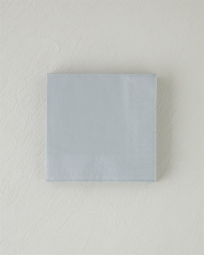 Plain Elegance 20li Kağıt Peçete 33x33 cm Silver