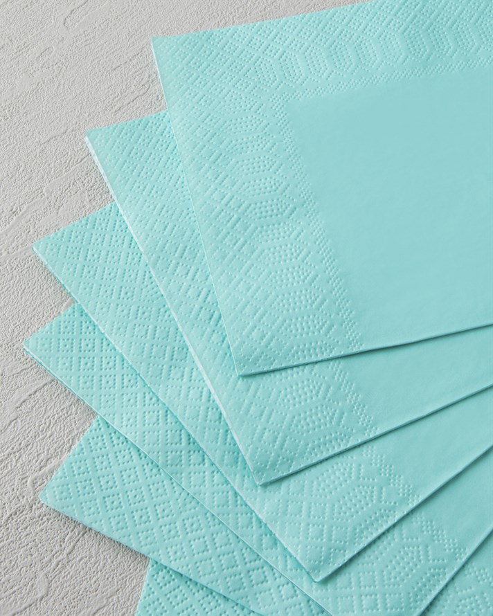 Plain Elegance 20li Kağıt Peçete 33x33 cm Yeşil