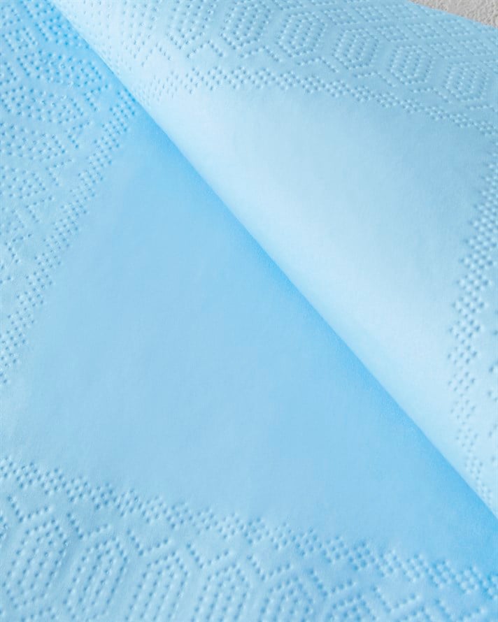 Plain Elegance 20li Kağıt Peçete 33x33 cm Mavi