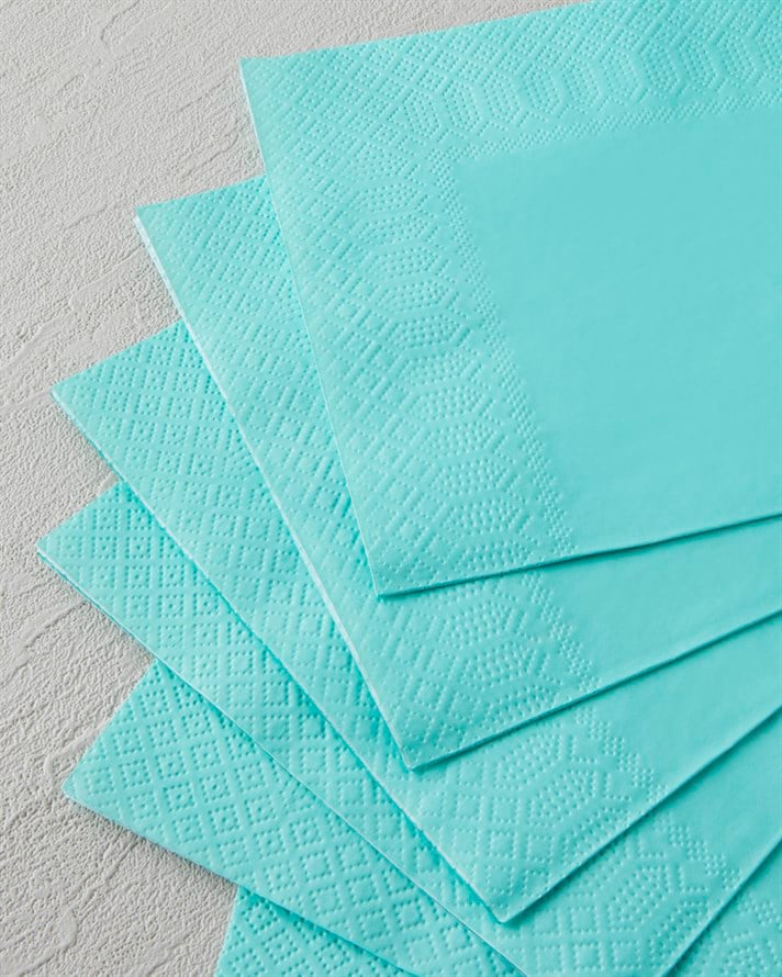 Plain Elegance 20li Kağıt Peçete 33x33 cm Yeşil