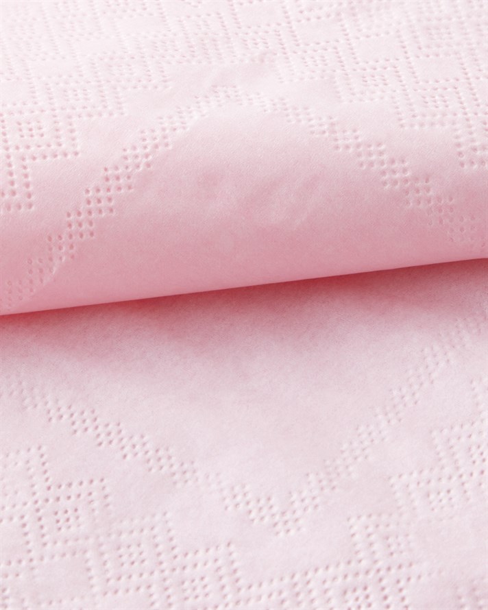 Plaine Kağıt 20li Kağıt Peçete 24x24 cm Pembe