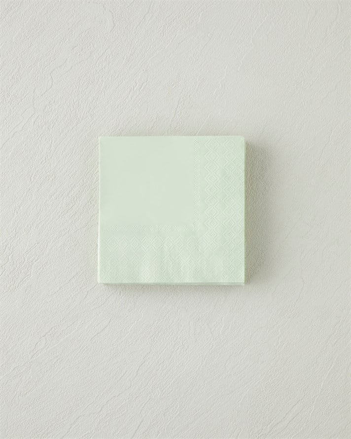 Plaine Kağıt 20li Kağıt Peçete 24x24 cm Yeşil