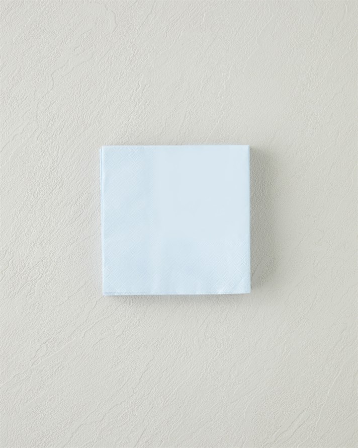 Plaine Kağıt 20li Kağıt Peçete 24x24 cm Mavi