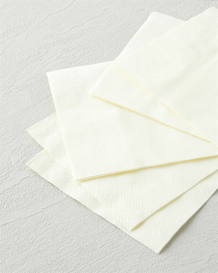 Plaine Kağıt 20li Kağıt Peçete 24x24 cm Sarı