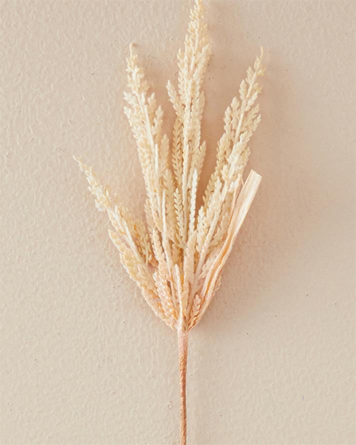 Reed Grass Bush Tek Dal Yapay Çiçek Krem