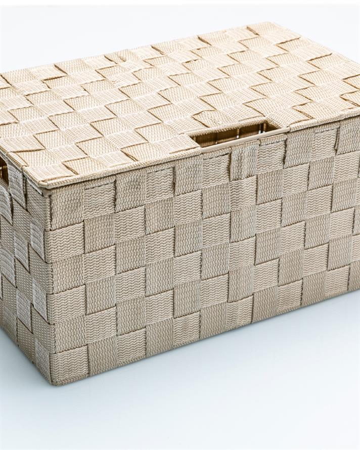 Shine Kapaklı Saklama Kutusu Bej