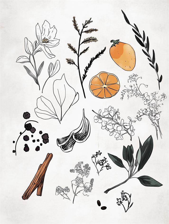 Suave Bliss Çubuklu Oda Kokusu 100 ml Şeffaf