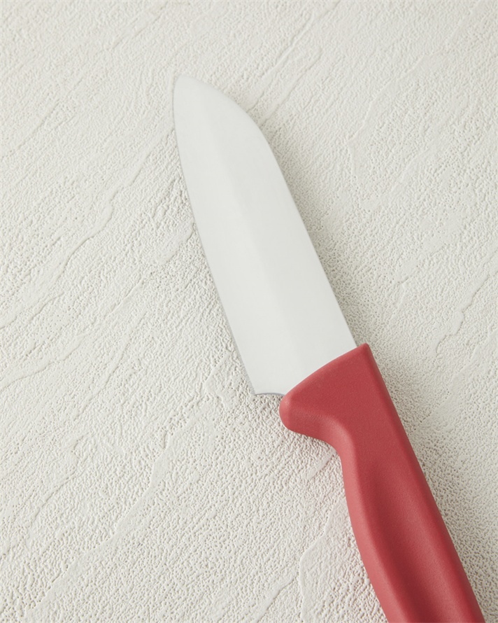 Titan Steel Paslanmaz Çelik Bıçak 12 cm Kırmızı