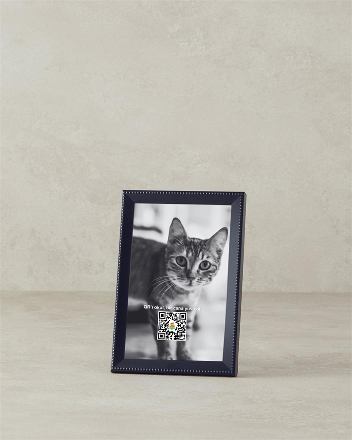 Tulia Metal Çerçeve Siyah