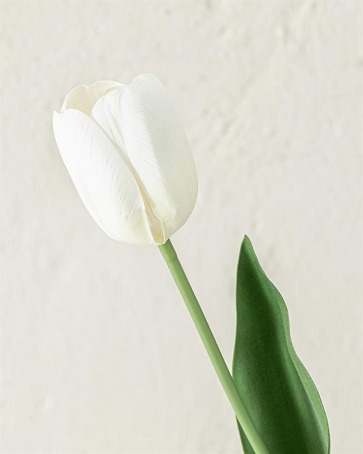 Tulip Garden Tek Dal Yapay Çiçek Beyaz