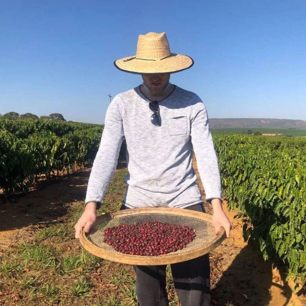 Brazil Nordic Approach Sitio Bela Vista by Jarbas Cleto Lopes Speciality Yeşil Kahve Çekirdeği