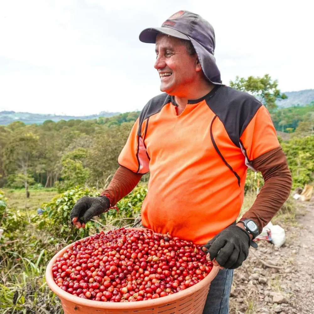 Costa Rica Cordillera De Fuego Speciality Anaerobic & Thermic Fermentation Yeşil Kahve Çekirdeği