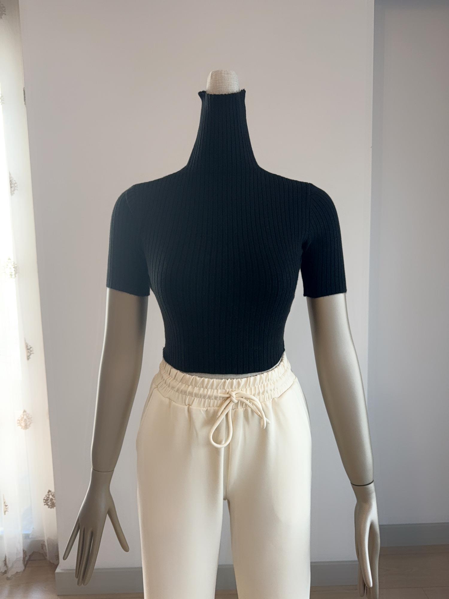 Balıkçı Yaka Siyah Kısa Kollu Triko Crop Top