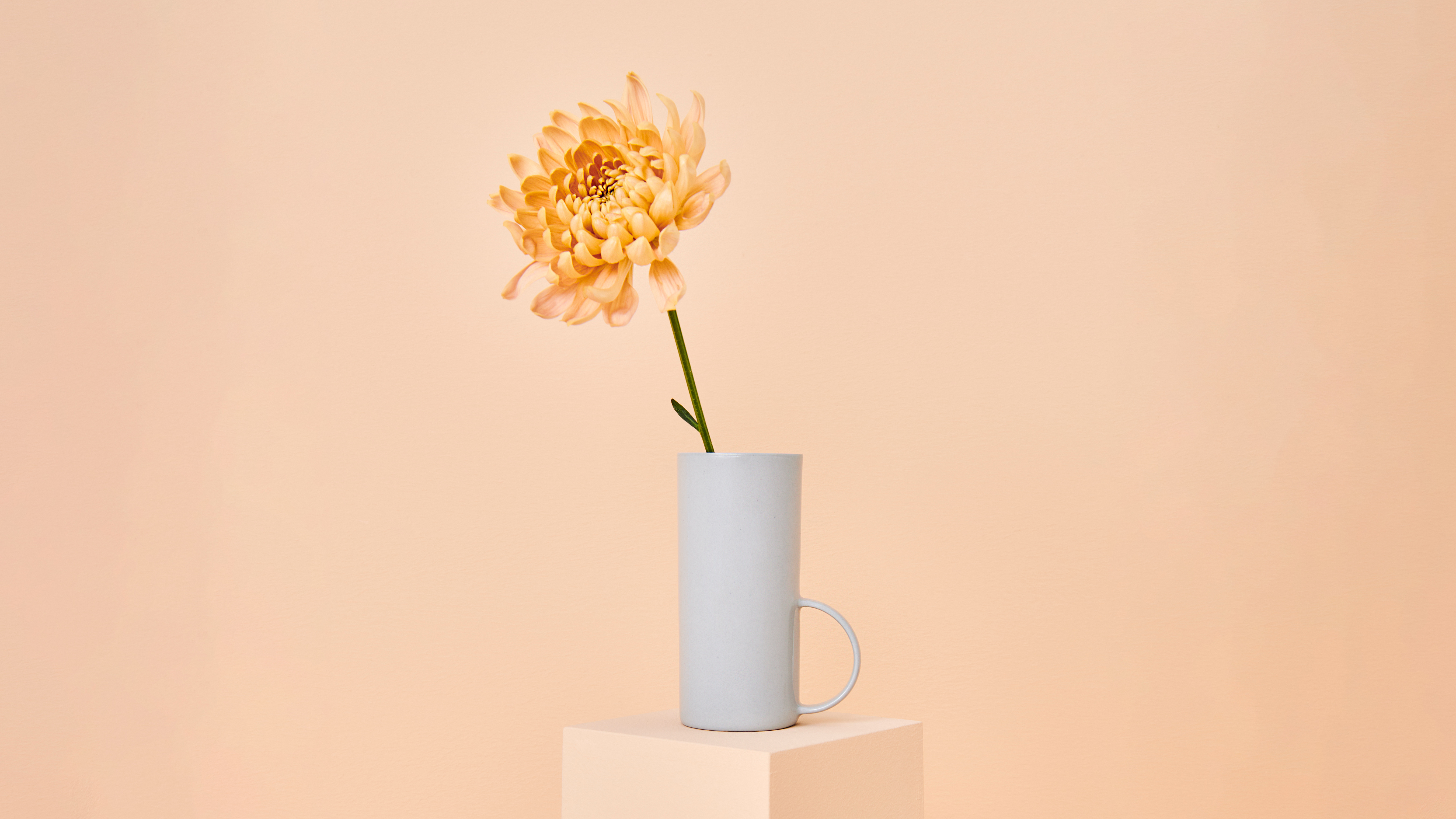 Art is the unfading color of life!