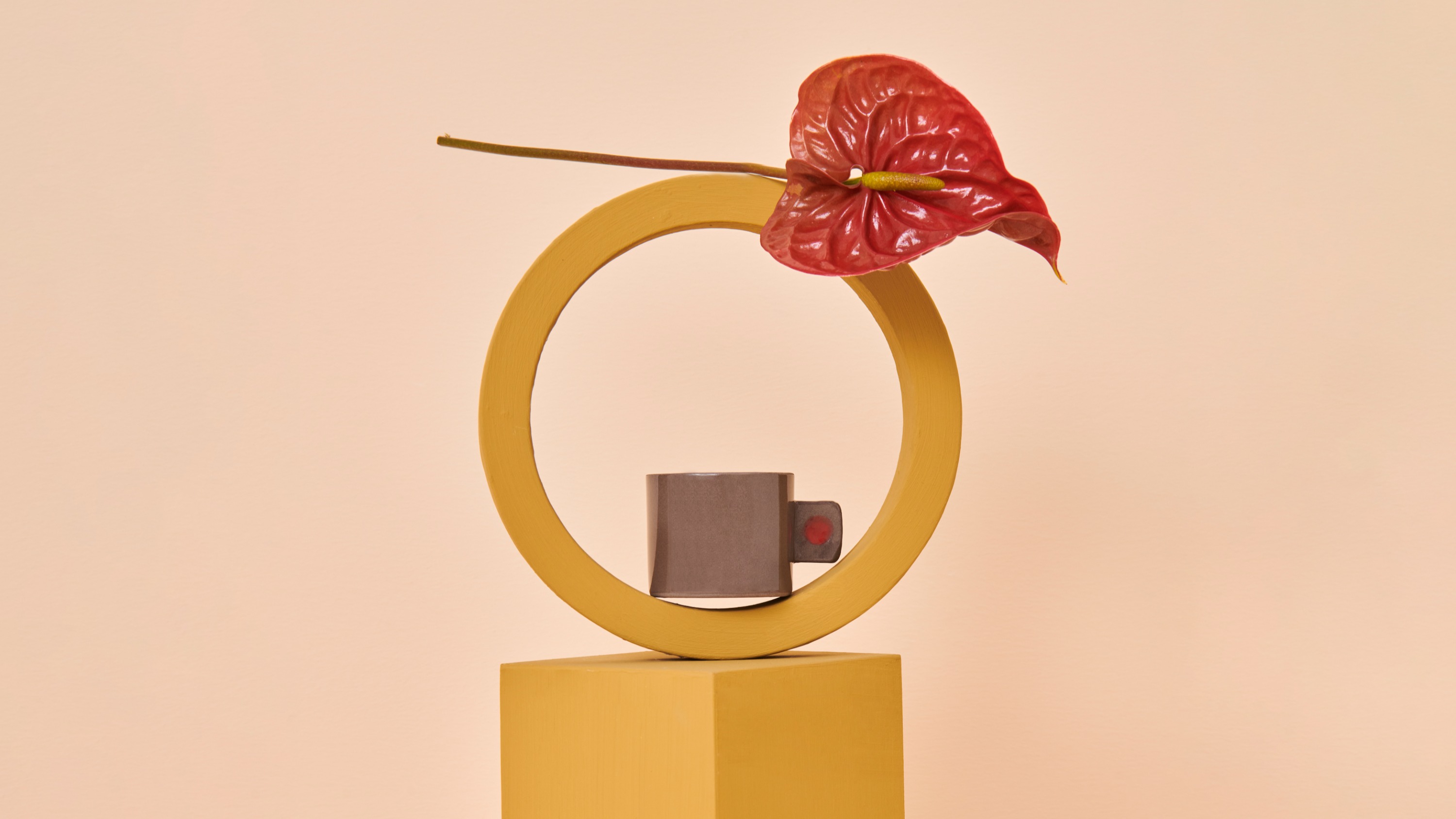 Colours of autumn warming us!