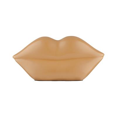 Big Kiss - Dudak Şeklinde Dekor / Somon