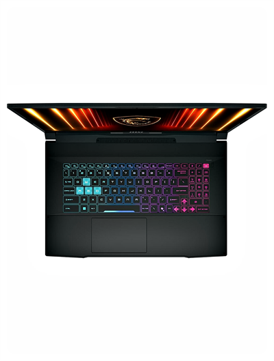 MSI KATANA 17 HX B14WFKA35-216XTRA35 İntel Core İ7 14650HX 32GB 4TB SSD RTX5060 Windows 10 Pro 17.3